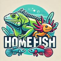 homefissh