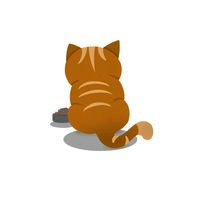 meow_peduli19