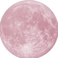 The bakery x tunnel vision