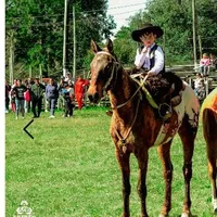 original sound - yoel.espndola