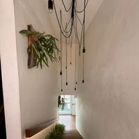 _tings.studio