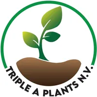 original sound - tripleaplantsnv