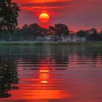 original sound - m.k.y.232.559