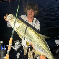 original sound - 239.payton