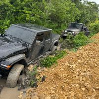 elmerochingondepeten