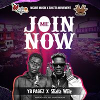 yb_pagez