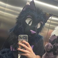 binxdacatt