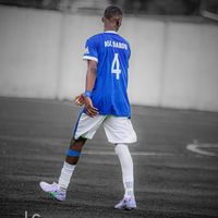 thiedo_bi_04