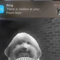 original sound - hiso.mp3