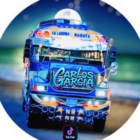 carlosgarcia17552