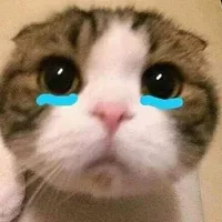 original sound - t0ng_tete