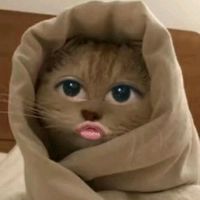 suara asli - Saa
