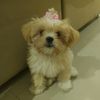 melzinha_fofinhaa03