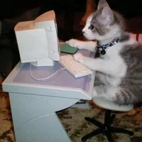 original sound - nourpatchkids