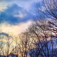 new flesh by current joys