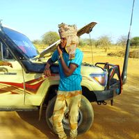 الصوت الأصلي