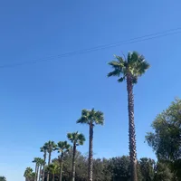 original sound - _mdzgiss