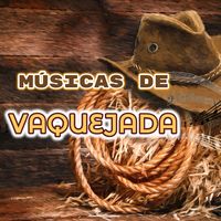 musica.vaquejada1
