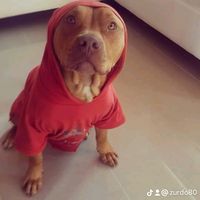 zurdo80