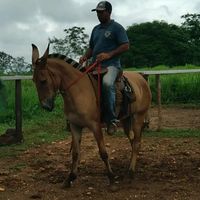 carlosalbertodiasferreir