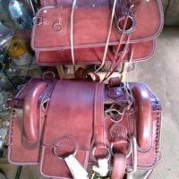 selariadogriloapuiam