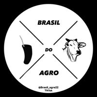 brasil_agro22