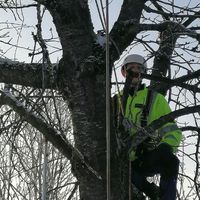 aurelien_paysage_elagage