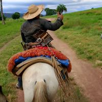 juliocesarboiadeiro22