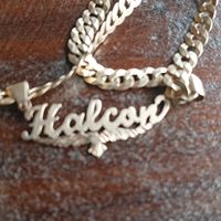 elguero.halcon