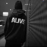 lifeofdosh