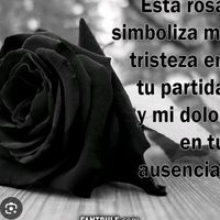 justinabernabe1