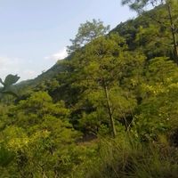 karensita.la.selosita