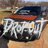 low_down_van_hooligan