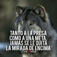 unromanticoporsiempre.44