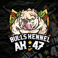 bullyperu47