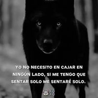 carloschavez864