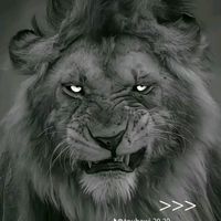 son original