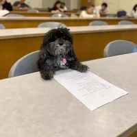 Planet earth by steven universe remix by coffv