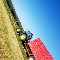 niall_linehan