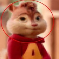 aesthetic_warning101