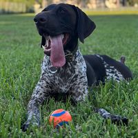 mayathegsp