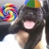 original sound - hellxx_kitty