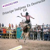 brayanrojas825