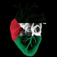 original sound - abdelrhman.xyz