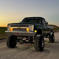 shelbygibbs8