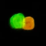 Mexer de Isaque Santos