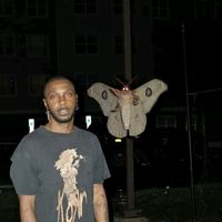 original sound - Bih