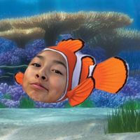 findingbemo13