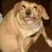 original sound - iam..2318