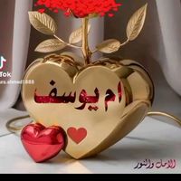 om.yousseef